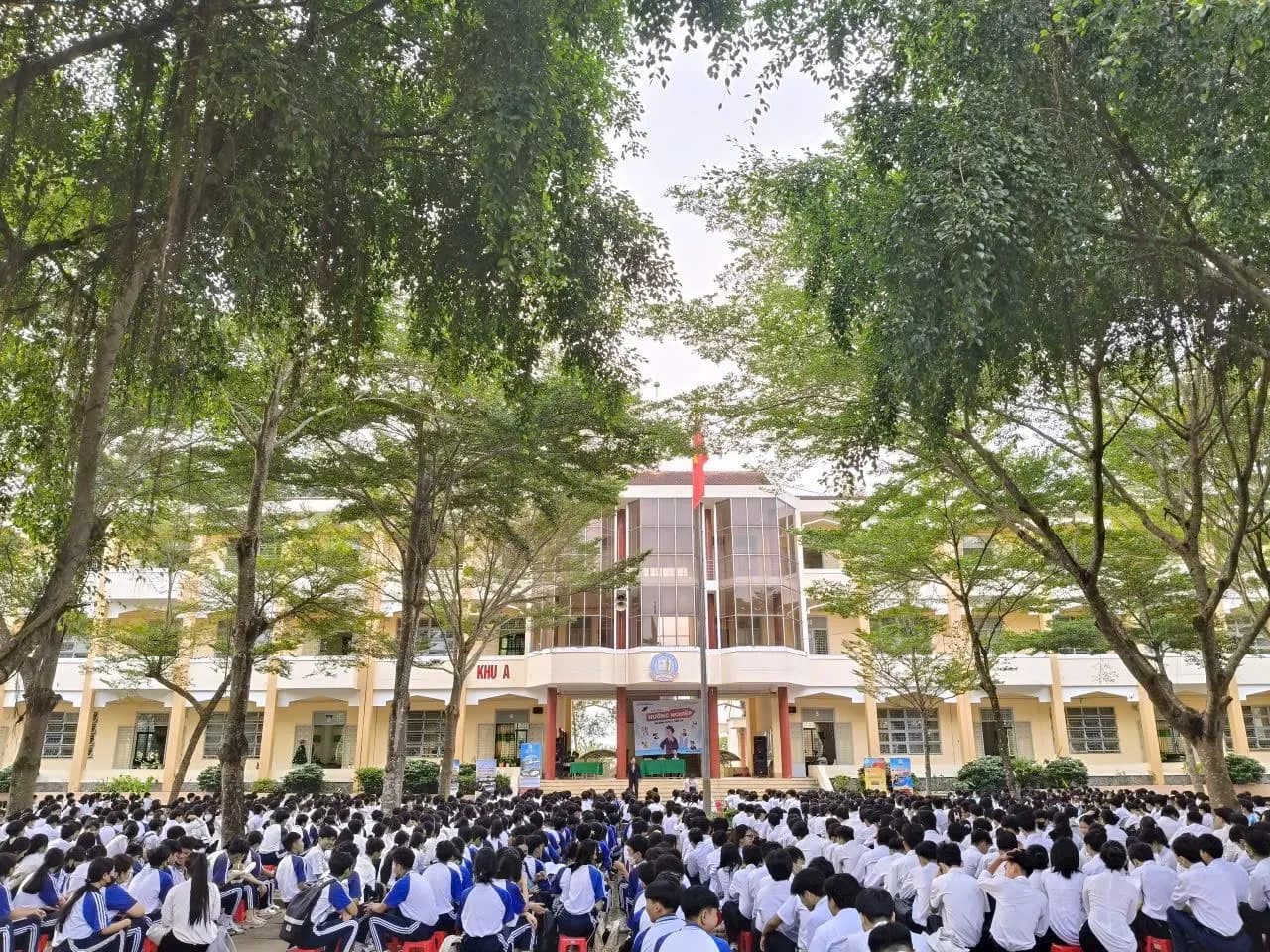 Học sinh ngồi kín sân trường dưới hàng cây cao