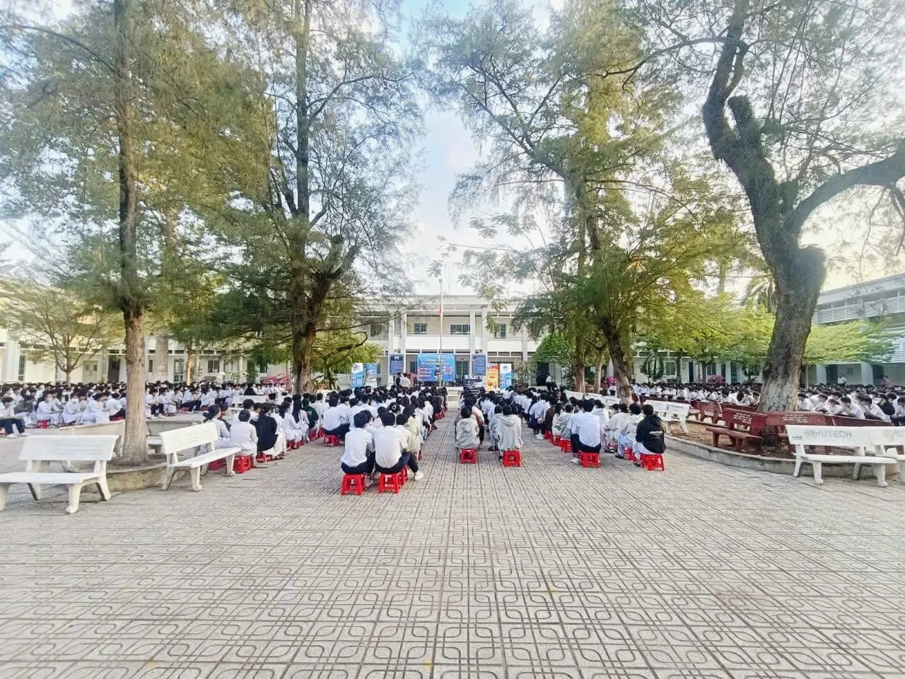 Học sinh ngồi hai bên lối đi sân trường dưới hàng phi lao
