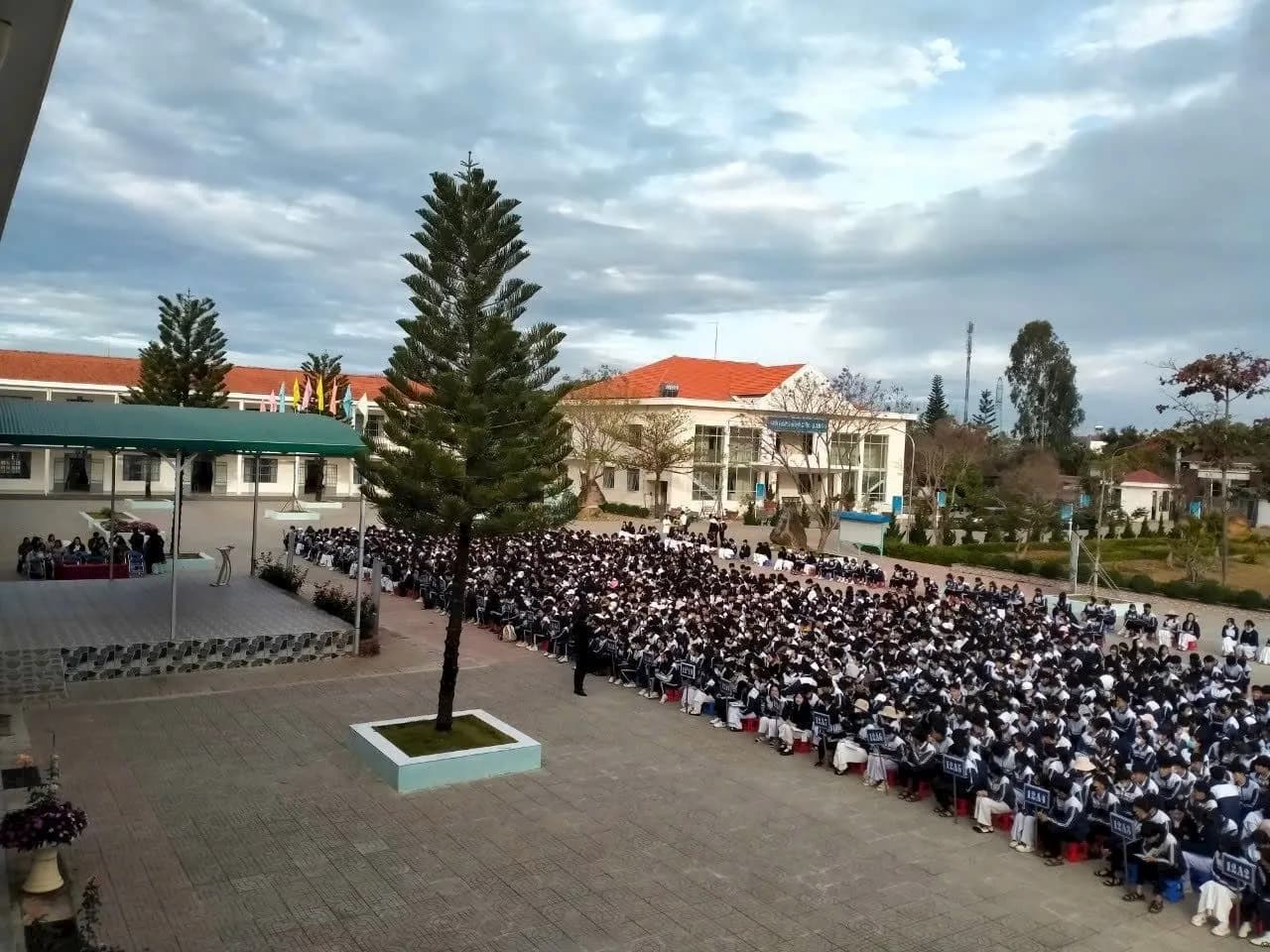 Nhìn từ trên cao: học sinh toàn trường ngồi kín sân, cạnh một cây thông lớn