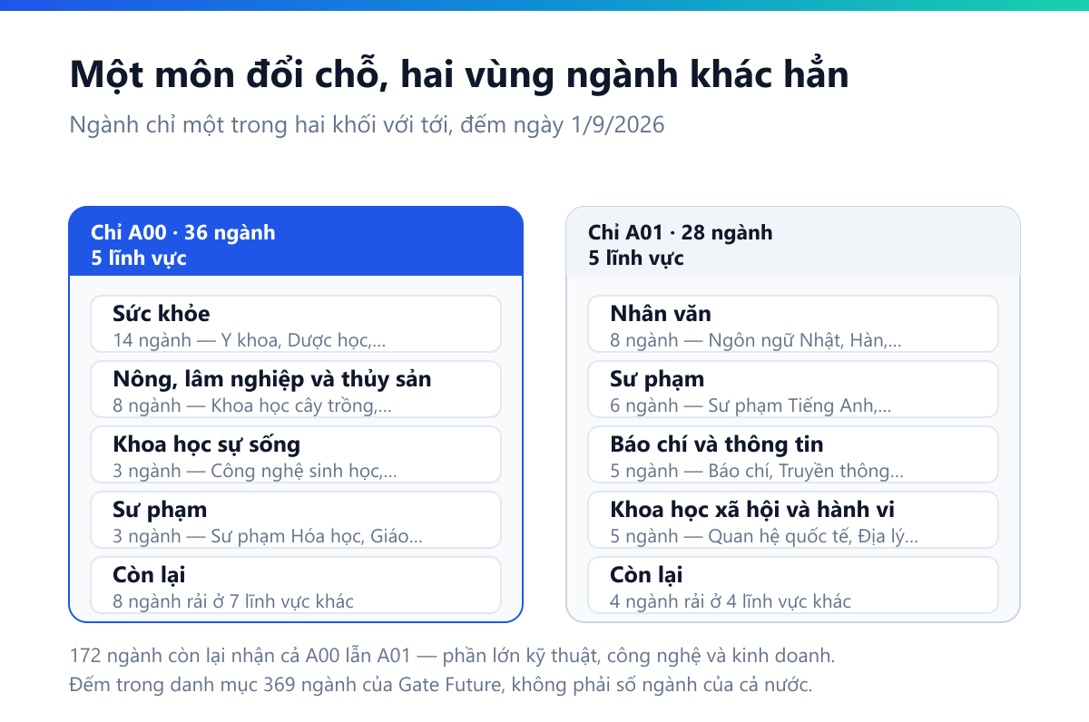 Sơ đồ hai cột: 36 ngành chỉ A00 dồn về Sức khỏe 14, Nông lâm thủy sản 8, Khoa học sự sống 3, Sư phạm 3; 28 ngành chỉ A01 dồn về Nhân văn 8, Sư phạm 6, Báo chí và thông tin 5, Khoa học xã hội và hành vi 5