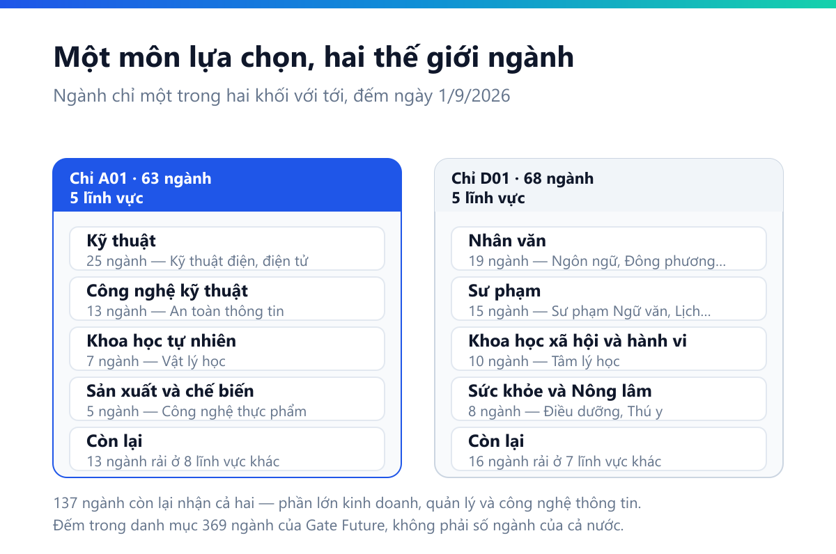Sơ đồ hai cột: 63 ngành chỉ A01 dồn về Kỹ thuật 25, Công nghệ kỹ thuật 13, Khoa học tự nhiên 7, Sản xuất và chế biến 5; 68 ngành chỉ D01 dồn về Nhân văn 19, Sư phạm 15, Khoa học xã hội và hành vi 10, Sức khỏe và Nông lâm 8