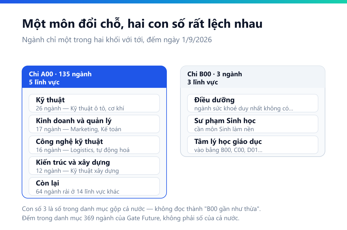 Sơ đồ hai cột: 135 ngành chỉ A00 gồm Kỹ thuật 26, Kinh doanh và quản lý 17, Công nghệ kỹ thuật 16, Kiến trúc và xây dựng 12 và 64 ngành rải ở mười bốn lĩnh vực khác; 3 ngành chỉ B00 là Điều dưỡng, Sư phạm Sinh học, Tâm lý học giáo dục