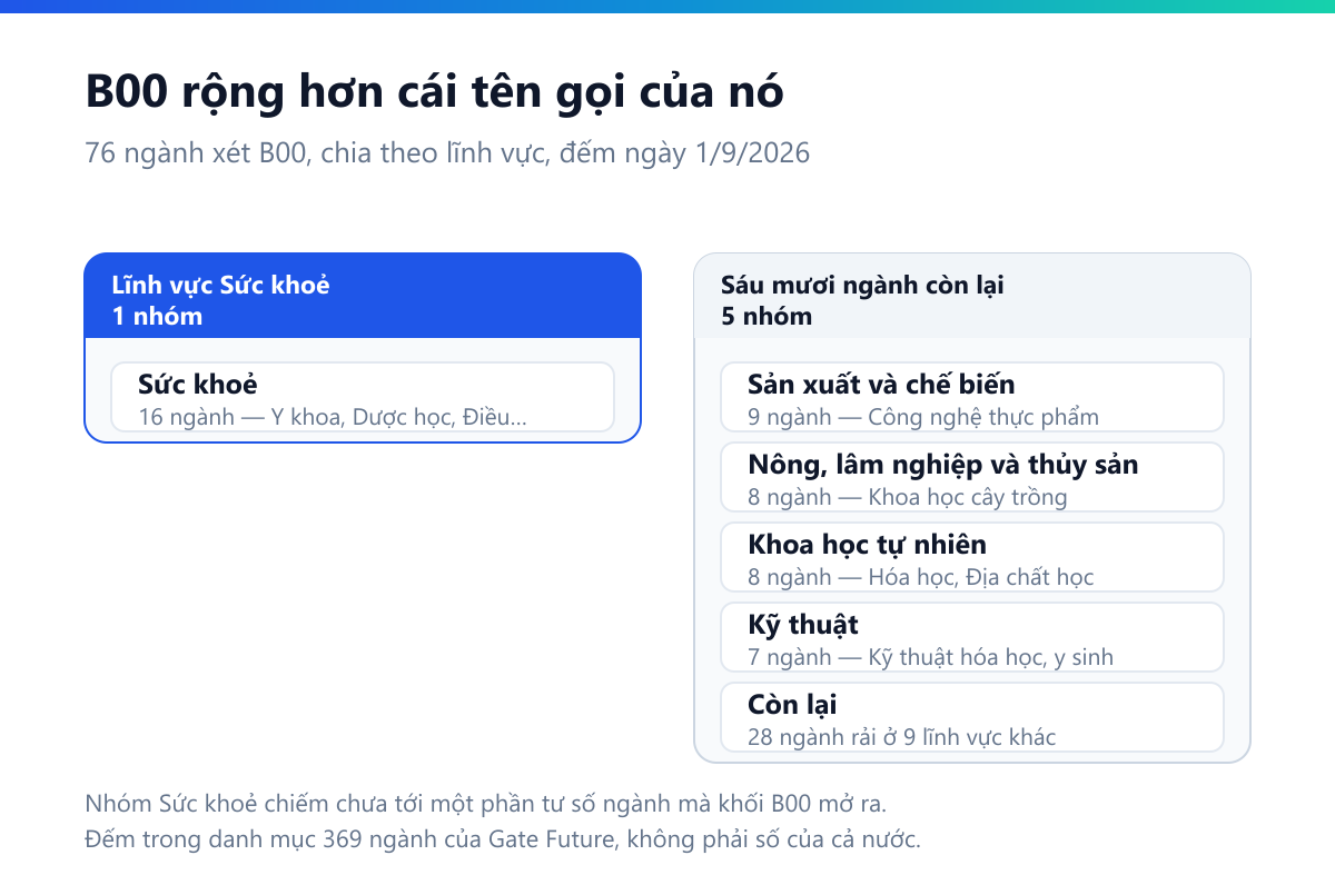 Sơ đồ hai cột: lĩnh vực Sức khoẻ 16 ngành gồm Y khoa, Dược học, Điều dưỡng; sáu mươi mốt ngành còn lại gồm Sản xuất và chế biến 9, Nông lâm thủy sản 8, Khoa học tự nhiên 8, Kỹ thuật 7, và 28 ngành rải ở chín lĩnh vực khác