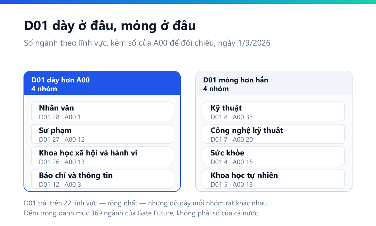 Sơ đồ hai cột: nhóm D01 dày hơn A00 gồm Nhân văn 28 so với 1, Sư phạm 27 so với 12, Khoa học xã hội và hành vi 26 so với 13, Báo chí 12 so với 3; nhóm D01 mỏng hơn hẳn gồm Kỹ thuật 8 so với 33, Công nghệ kỹ thuật 7 so với 20, Sức khỏe 4 so với 15, Khoa học tự nhiên 5 so với 13