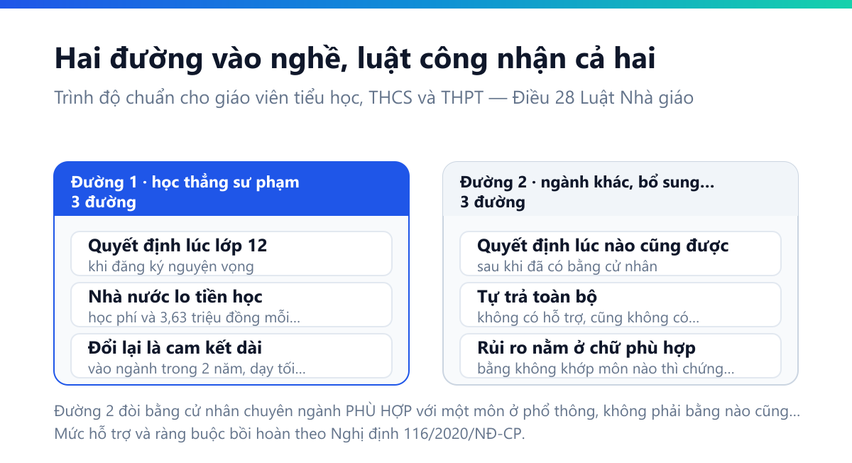 Sơ đồ hai cột: đường 1 học thẳng sư phạm — quyết định lúc lớp 12, nhà nước lo học phí và 3,63 triệu đồng mỗi tháng, đổi lại phải vào ngành trong 2 năm và dạy tối thiểu 8 năm; đường 2 học ngành khác rồi bổ sung nghiệp vụ — quyết định lúc nào cũng được, tự trả toàn bộ, không ràng buộc, nhưng rủi ro là bằng không khớp môn nào