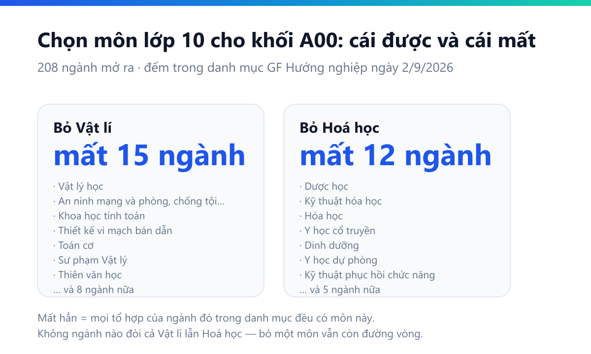 Sơ đồ so sánh: bỏ Vật lí mất 15 ngành, bỏ Hoá học mất 12 ngành, kèm tên các ngành mất