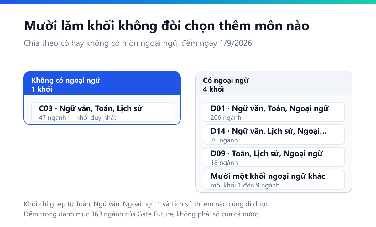 Sơ đồ hai cột: cột không có ngoại ngữ chỉ có C03 với 60 ngành; cột có ngoại ngữ gồm D01 212 ngành, D14 71 ngành, D09 18 ngành và mười một khối ngoại ngữ khác mỗi khối 1 đến 9 ngành