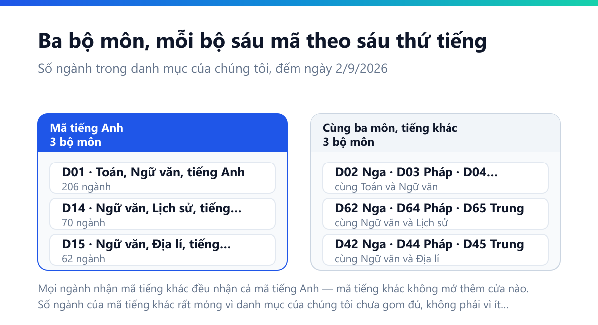 Sơ đồ hai cột: mã tiếng Anh gồm D01 Toán Ngữ văn tiếng Anh 206 ngành, D14 Ngữ văn Lịch sử tiếng Anh 70 ngành, D15 Ngữ văn Địa lí tiếng Anh 62 ngành; cùng ba môn nhưng tiếng khác gồm D02 Nga D03 Pháp D04 Trung D05 Đức D06 Nhật đi với Toán và Ngữ văn, D62 D64 D65 đi với Ngữ văn và Lịch sử, D42 D44 D45 đi với Ngữ văn và Địa lí