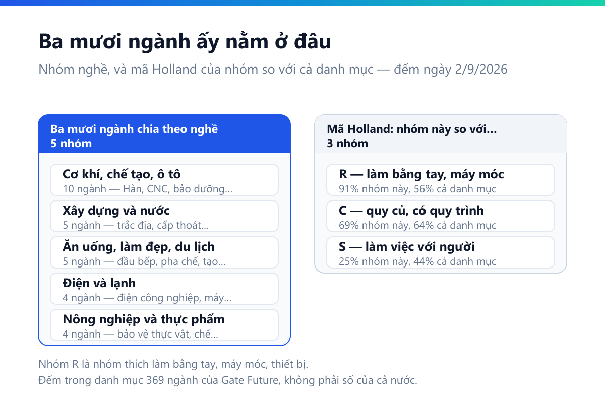 Sơ đồ hai cột: ba mươi ngành chia theo nghề gồm cơ khí chế tạo ô tô 10 ngành, xây dựng và nước 5 ngành, ăn uống làm đẹp du lịch 5 ngành, điện và lạnh 4 ngành, nông nghiệp và thực phẩm 4 ngành; mã Holland của nhóm so với cả danh mục — nhóm R làm bằng tay 91% so với 56%, nhóm C quy củ 69% so với 64%, nhóm S làm việc với người 25% so với 44%