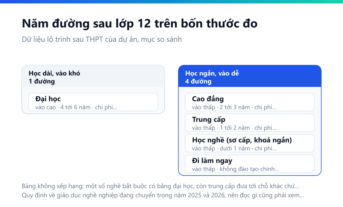 Bảng năm đường sau lớp 12 so trên bốn thước: đại học vào khó, học 4 tới 6 năm, chi phí cao, cơ hội việc làm trung bình; cao đẳng vào dễ, học 2 tới 3 năm, chi phí trung bình, cơ hội việc làm cao; trung cấp vào dễ, học 1 tới 2 năm, chi phí thấp, cơ hội việc làm cao; học nghề sơ cấp dưới 1 năm, chi phí thấp, cơ hội trung bình; đi làm ngay không có đào tạo chính quy